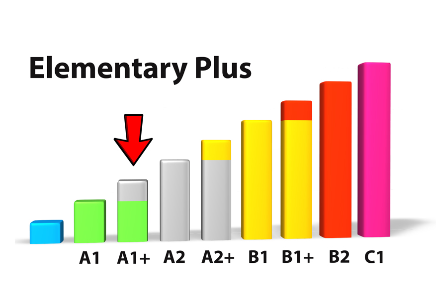 elementary plus